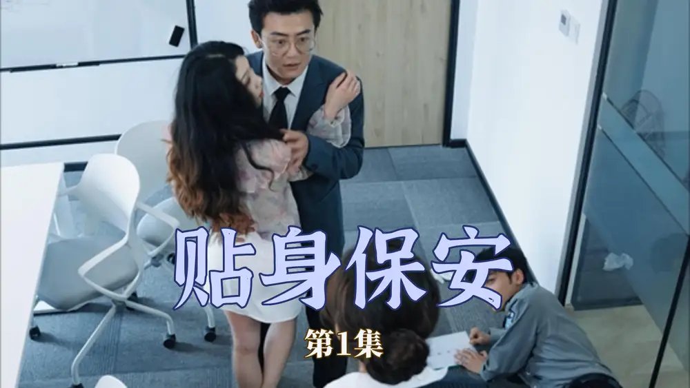 贴身保安（32集）