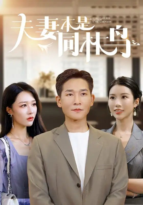 夫妻本是同林鸟（76集）李可馨&钟莹玲
