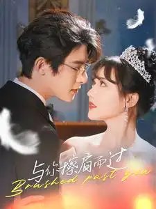 与你擦肩而过（80集）