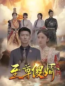 至尊傻婿（82集）