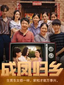 女总裁成凤归乡（80集）