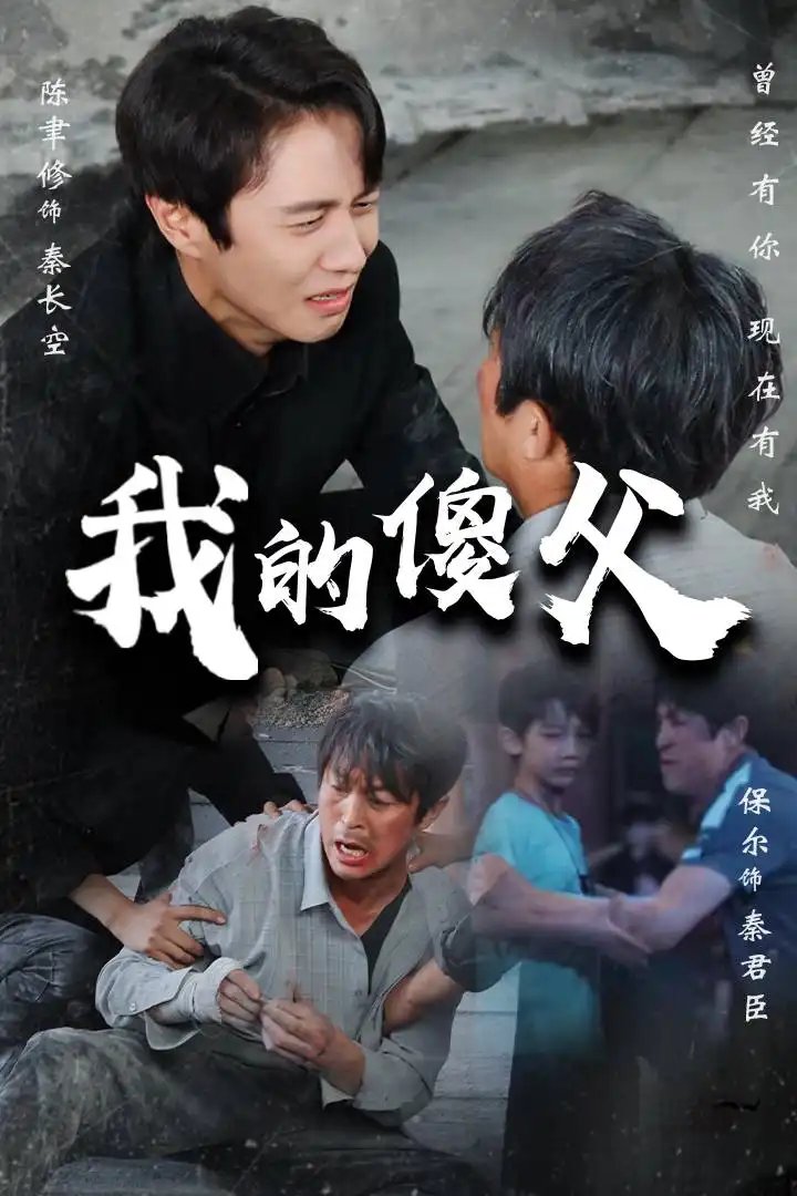 我的傻父（74集）