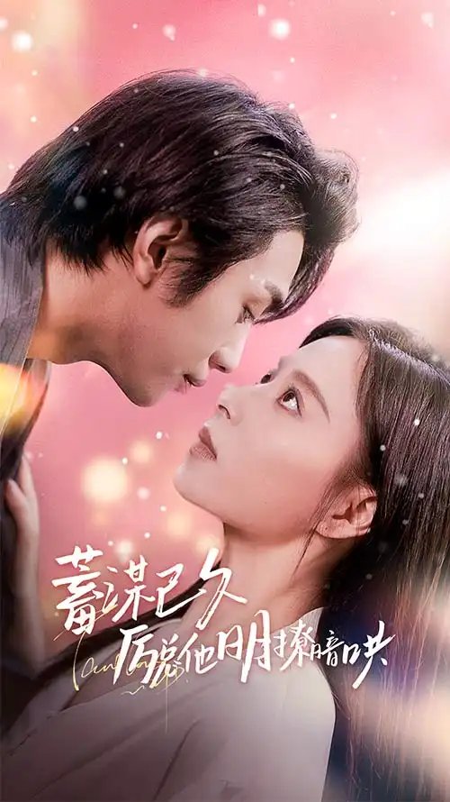 蓄谋已久历总他明撩暗哄&历总夫人她又跑了（78集）