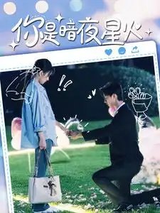 你是暗夜星火（120集）