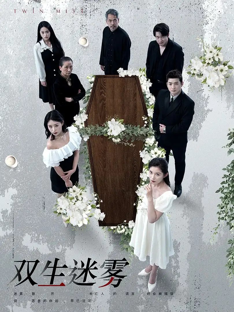 双生迷雾（80集）