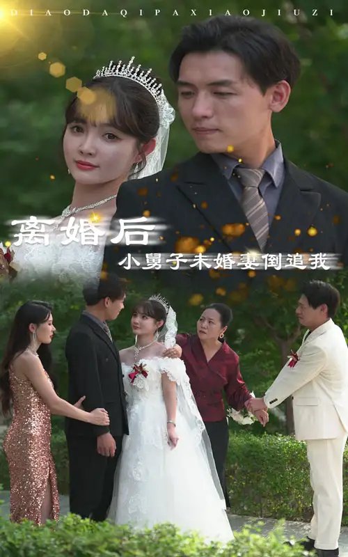 离婚后，小舅子未婚妻倒追我（30集）