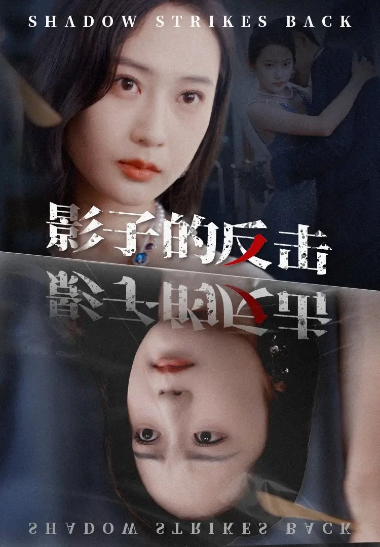 影子的反击（31集）