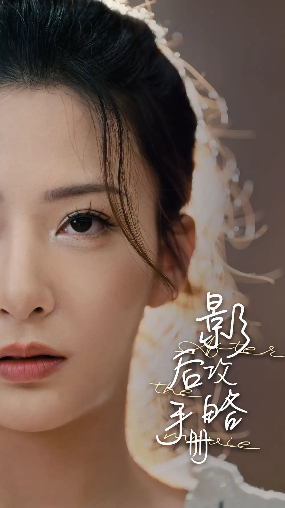 影后攻略手册（80集）