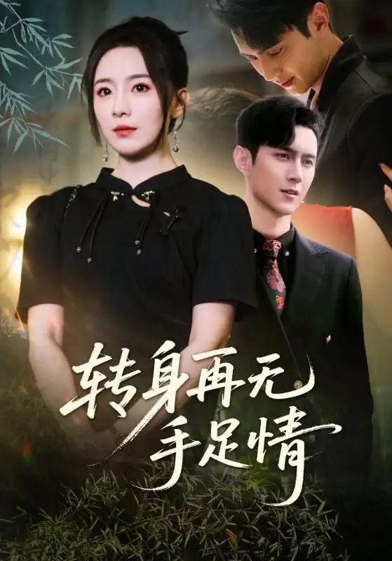 转身再无手足情（71集）