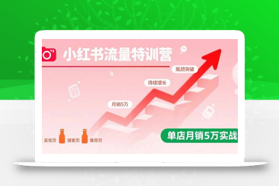 小红书流量特训营：突破流量瓶颈，实现店铺持续增长，单店月销5万实战